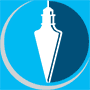 Turning Point Surveys logo
